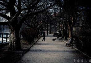 frozen-street-photos-czyli-zamrozony-wroclaw-11